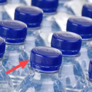 Blue cap water bottle 