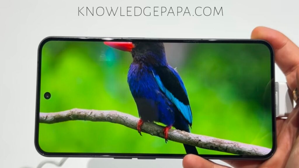 Nothing phone 3 display size